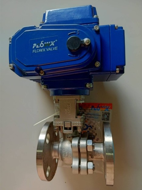 Picture12
