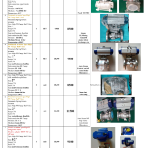 BVA ( 304  Stainless  Ball Valve   with PN &  EL  Actuator  .)